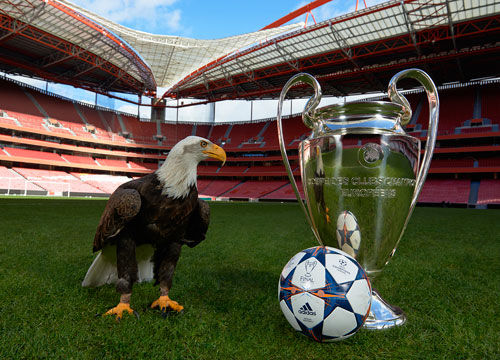 断层领先，2023年以来麦克托米奈为苏格兰打进12球（遥遥领先：自2023年至今，麦克托米奈已为苏格兰攻入12球）